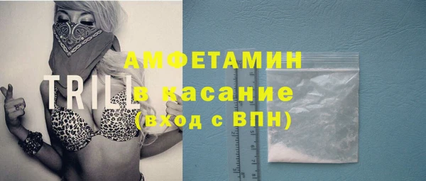 дмт Богданович