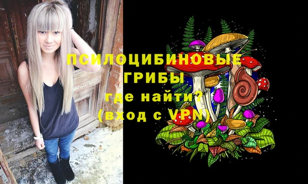 mdma Богородск