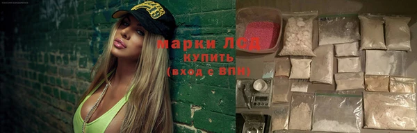 дмт Богданович