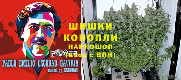 дмт Богданович