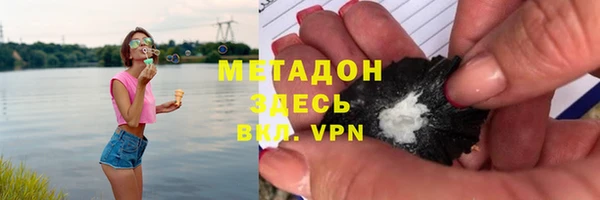 дмт Богданович