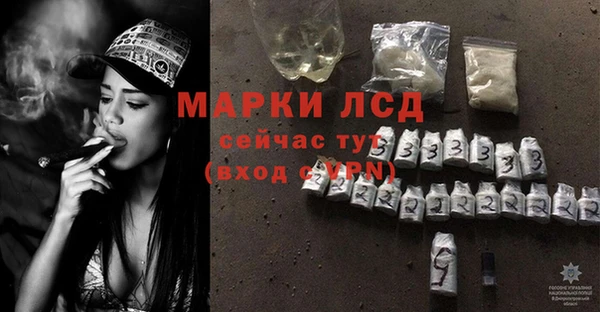 дмт Богданович