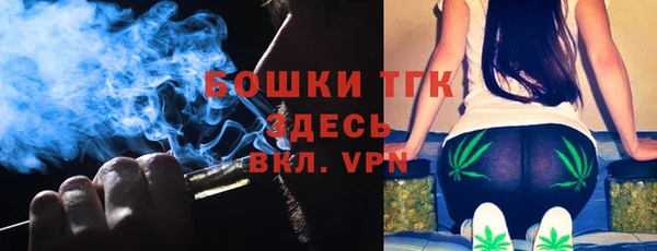 дмт Богданович
