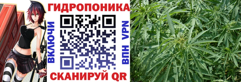 Конопля AK-47  Нурлат 